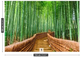 Fototapeta Vliesová Bambusové lesy 152x104 cm