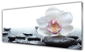 Obraz plexi Kvet kamene umenie 125x50 cm