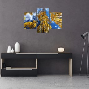 Obraz - Aspen (90x60 cm)