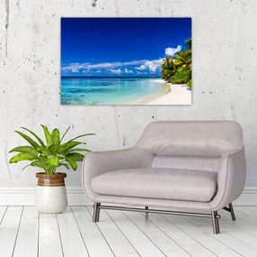 Obraz tropickej pláže (90x60 cm)
