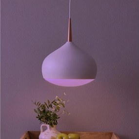 Eglo 97087 - LED RGBW stmievateľné závesné svietidlo COMBA-C LED/18W/230V