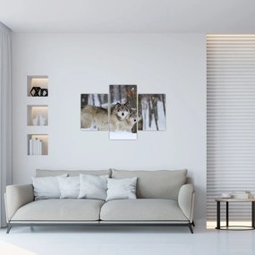 Obraz - Vlci v zime (90x60 cm)