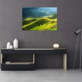 Obraz - Koncert ryžových terás (90x60 cm)