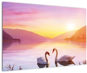 Obraz zamilovaných labutí (90x60 cm)