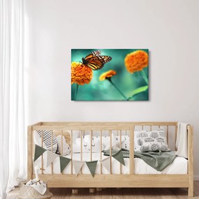 Obraz motýľa (90x60 cm)