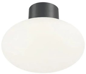 Ideal Lux - Vonkajšie stropné svietidlo CLIO 1xE27/42W/230V IP44 antracit ID148861