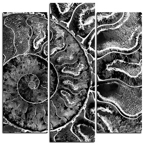 Obraz na plátne - Textúra fosílie - štvorec 3174QC (105x105 cm)