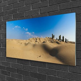 Obraz na skle Púšť krajina 125x50 cm