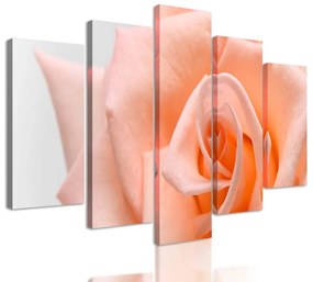 5-dielny obraz precízny detail na oranžovú ružu