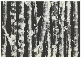 Artgeist Fototapeta - Stately Birches - Second Variant Veľkosť: 200x140, Verzia: Premium