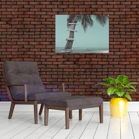 Obraz - Palma v Karibiku (70x50 cm)