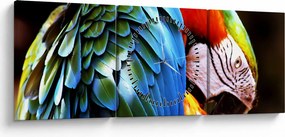 Obraz - Papagáj (s hodinami) (90x30 cm)