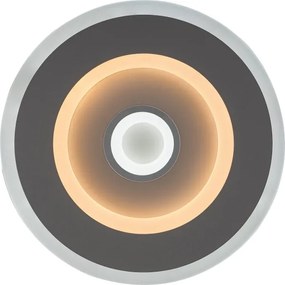 Rabalux 6959 - LED stropné svietidlo TANELI LED/20W/230V 3000/4000/6000K