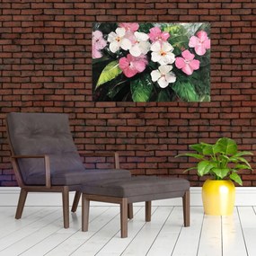 Obraz - Ružové a biele kvety (90x60 cm)