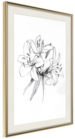 Artgeist Plagát - Drawn Flowers [Poster] Veľkosť: 30x45, Verzia: Zlatý rám s passe-partout