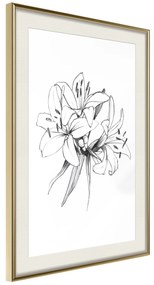 Artgeist Plagát - Drawn Flowers [Poster] Veľkosť: 20x30, Verzia: Čierny rám