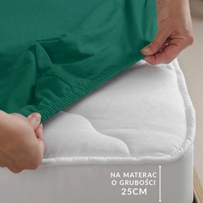 JERSEY PRESTIERADLO 200X220 CM, VÝŠKA 30 CM ZELENÉ