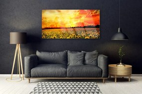 Obraz plexi Lúka slnečnica kvety 120x60 cm