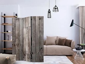 Paraván - Century Wood [Room Dividers] Veľkosť: 135x172, Verzia: Jednostranný