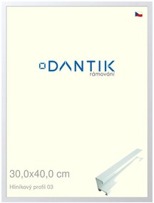 DANTIK rám na obraz 30x40 | ALU Bílá matná (Plexi Čiré)