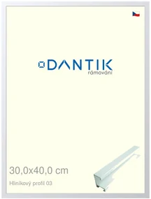 DANTIK rám na obraz 30x40 | ALU Bílá matná (Plexi Čiré)
