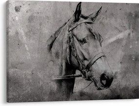 Obraz - Portrét koňa (70x50 cm)