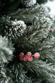 Limpol Borovica Iza s červenými bobuľami zasnežená Výška stromčeka: 240 cm