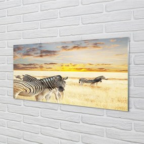 Sklenený obraz Zebry poľa sunset 125x50 cm