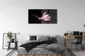Obraz plexi Kvetina voda 125x50 cm
