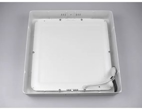 LED Stropné svietidlo GERRY LED/24W/230V 6000K