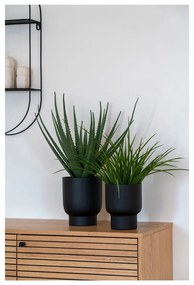 Umelá rastlina (výška 51 cm) Aloe Vera – House Nordic