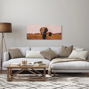 Obraz - Príchod slona (120x50 cm)