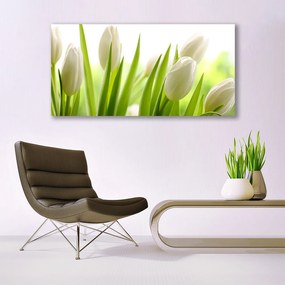 Obraz na akrylátovom skle Tulipány kvety 120x60 cm