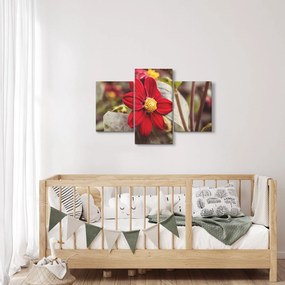 Obraz kvetiny (90x60 cm)