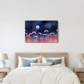 Obraz púpav s modrým motýľom (90x60 cm)