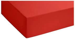Biberna Napínacia džersejová plachta (červená, 180 – 200 x 200 cm)  (100227068)