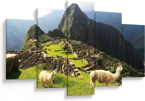 Obraz - Lamy v Machu Picchu (150x105 cm)