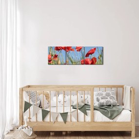 Obraz - Vlčie maky (s hodinami) (90x30 cm)