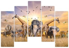 Obraz - safari