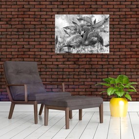 Sklenený obraz - Plameniaky graffiti (70x50 cm)