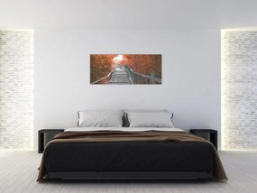 Obraz - Schody v prírode, oranžová (120x50 cm)