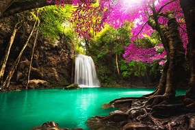 Fotografia Waterfall in autumn forest, Busakorn Pongparnit