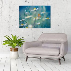 Obraz - Motýľ na sedmokráske (70x50 cm)