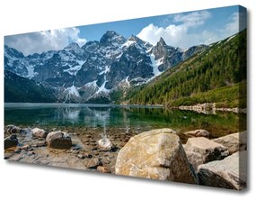 Obraz Canvas Hory les jazero kamene 120x60 cm