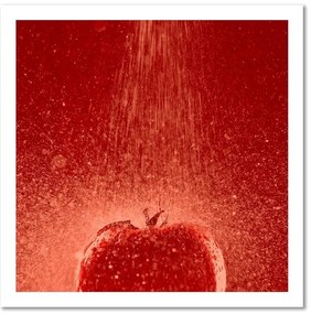Obraz na plátně Červené rajče ve vodě - 60x60 cm