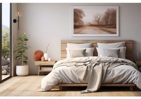 Nástenné svietidlo Paris, 1x medové sklenené tienidlo, B/CH