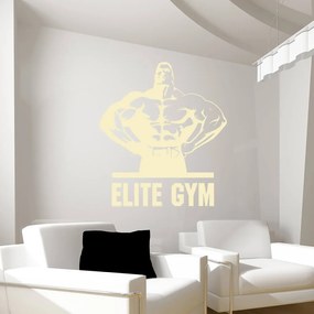 Veselá Stena Samolepka na stenu na stenu Elite Gym Farba: černá