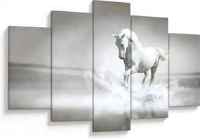 Obraz - Biely kôň (150x105 cm)