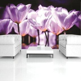 Fototapeta - Kvety - fialový nádych (152,5x104 cm)