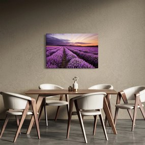Obraz - Levanduľové pole pri západe slnka (90x60 cm)